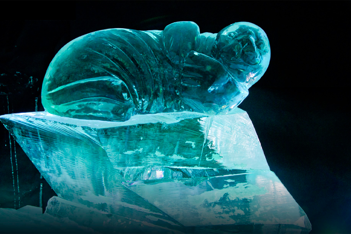 Entreeticket IJsmuseum Icecarving