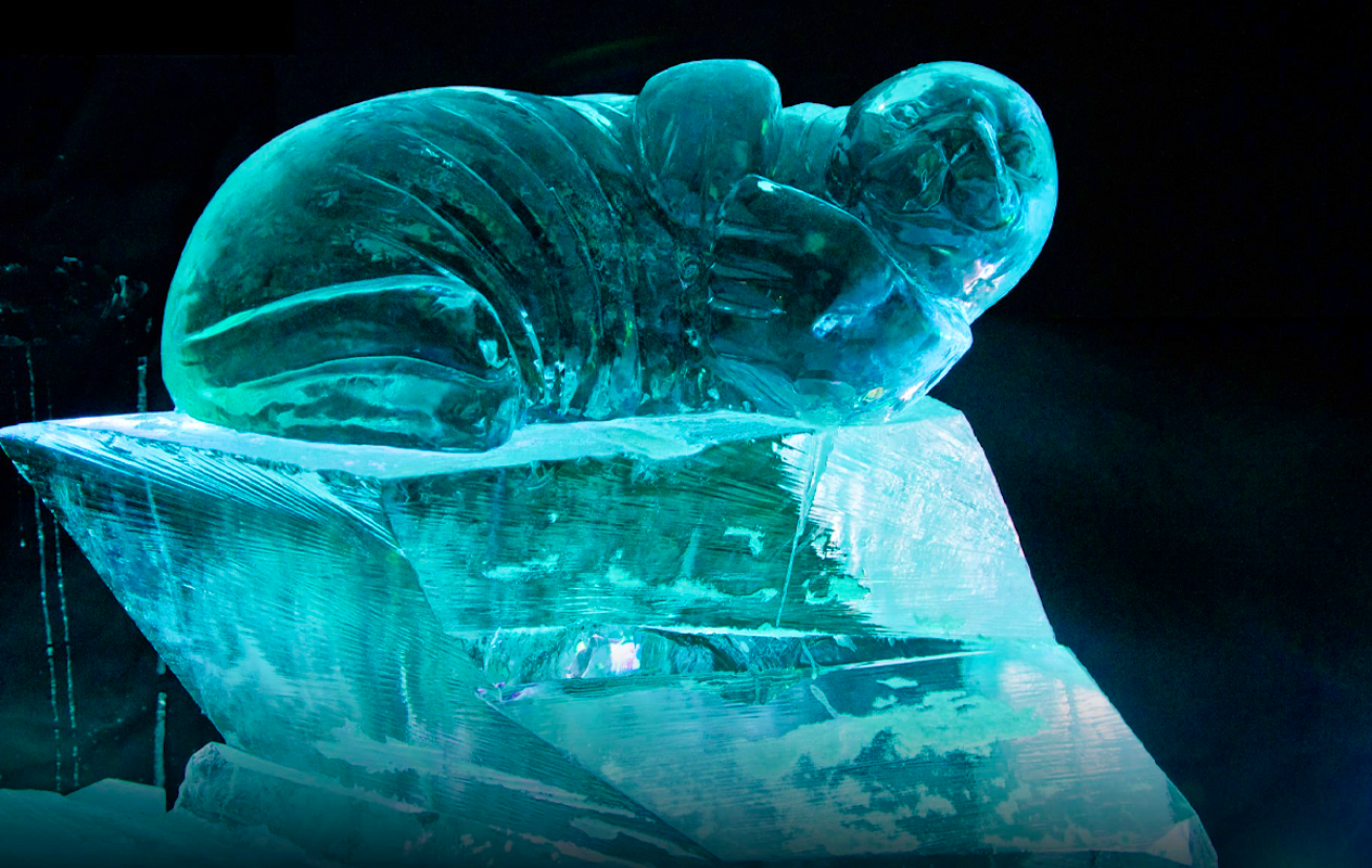 Entreeticket IJsmuseum Icecarving