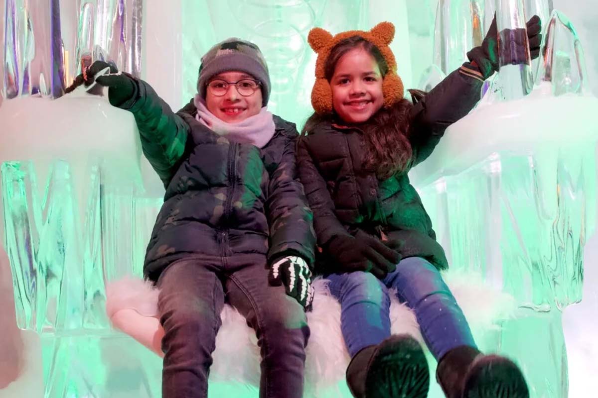 Entreeticket IJsmuseum Icecarving