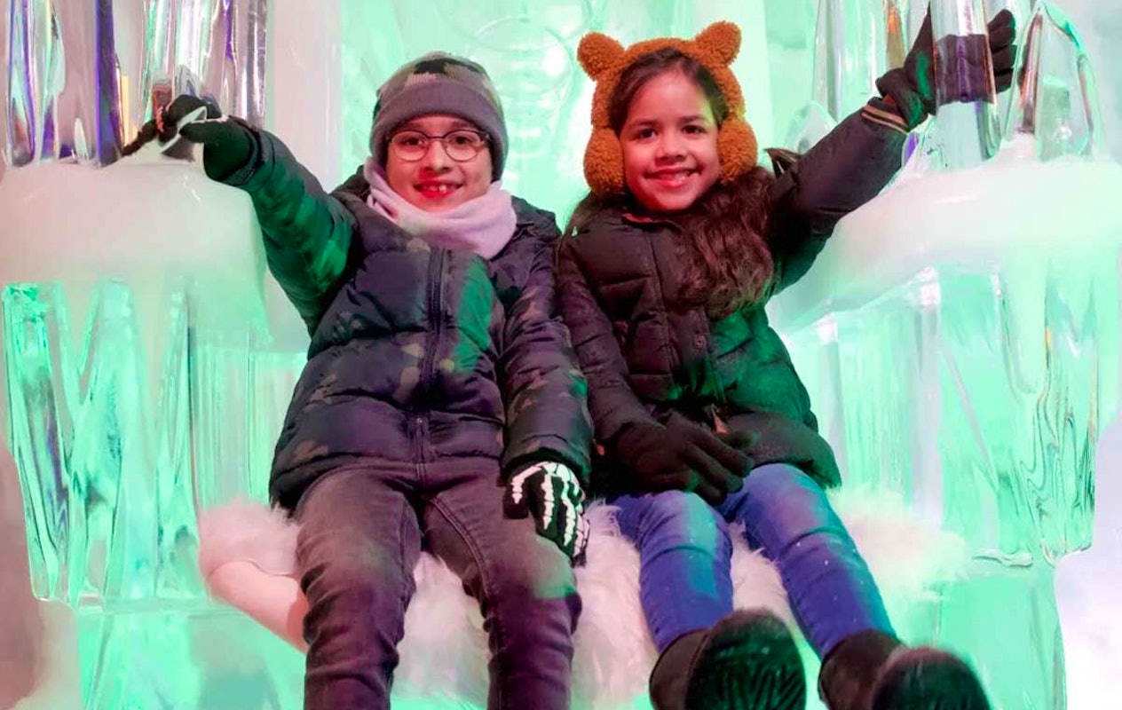 Entreeticket IJsmuseum Icecarving