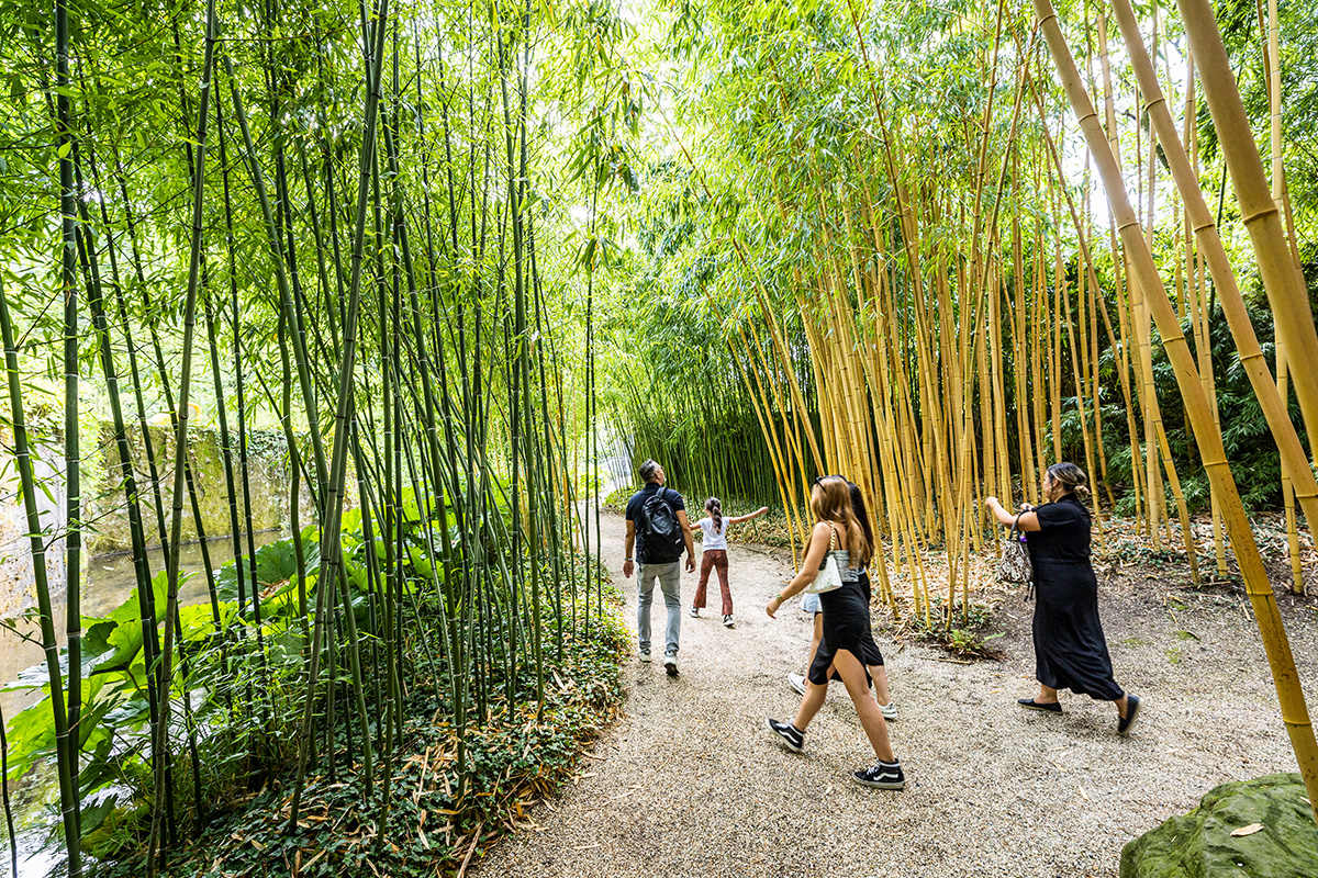 Entreeticket Kasteeltuinen Arcen 