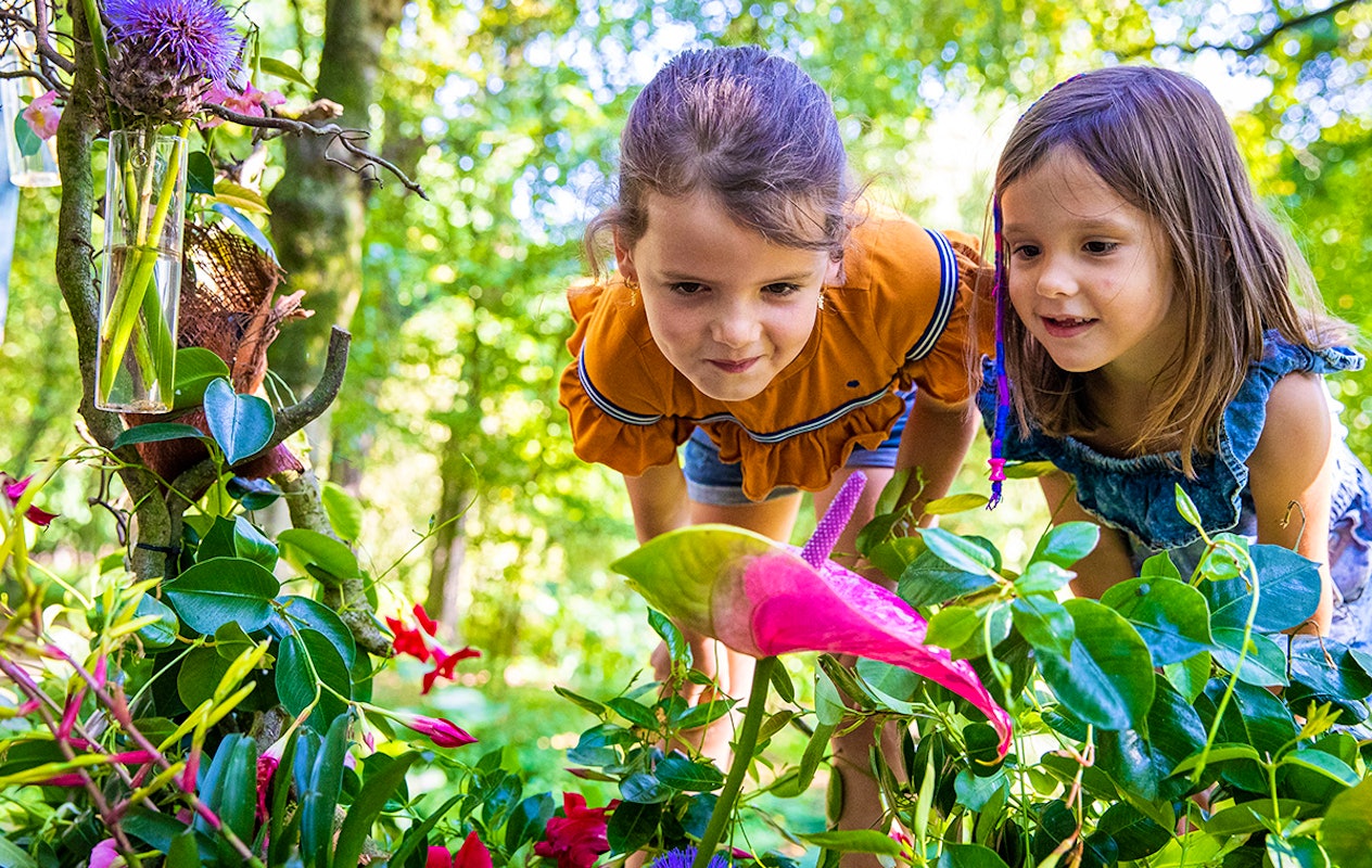 Entreeticket Kasteeltuinen Arcen