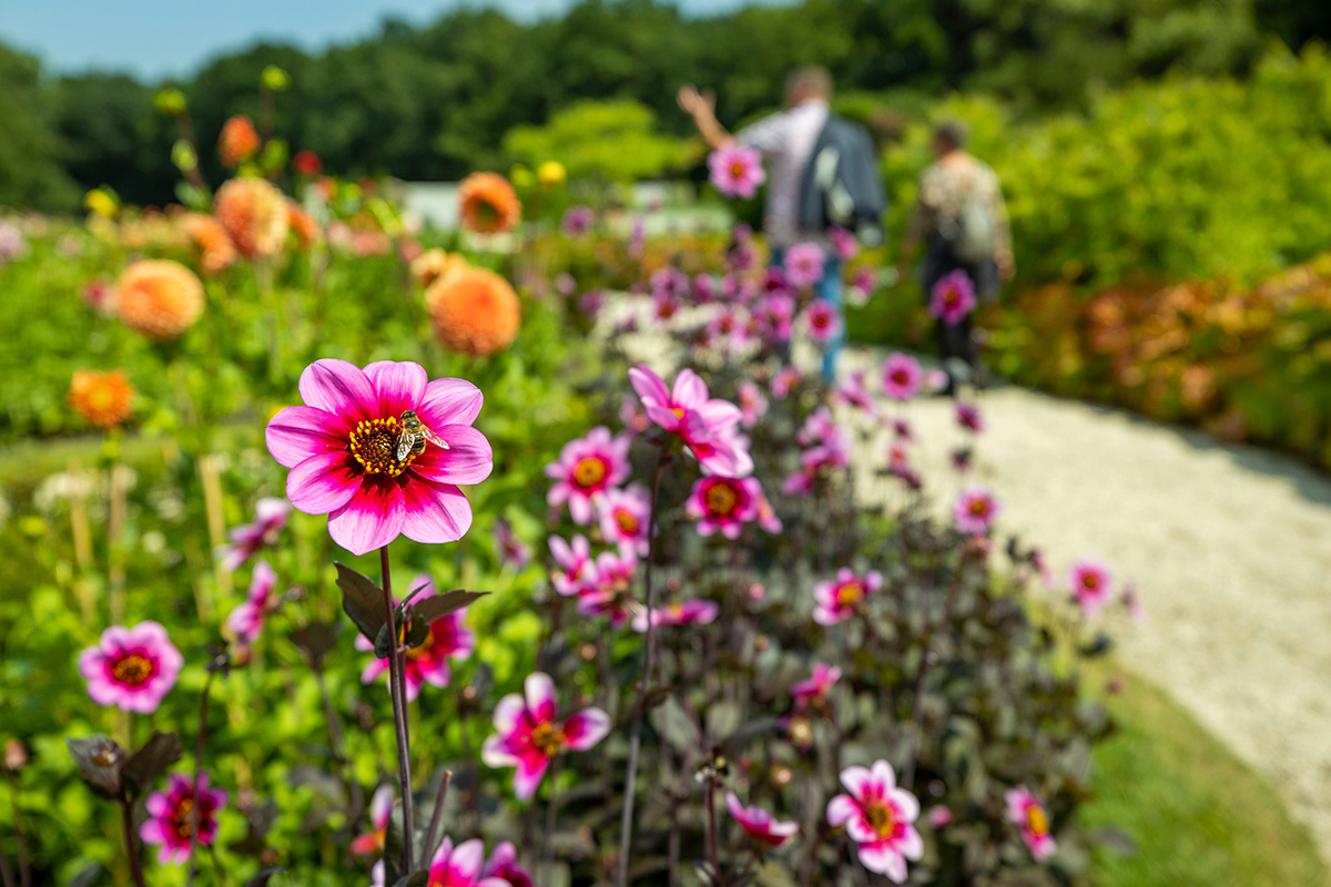 Entreeticket Kasteeltuinen Arcen 