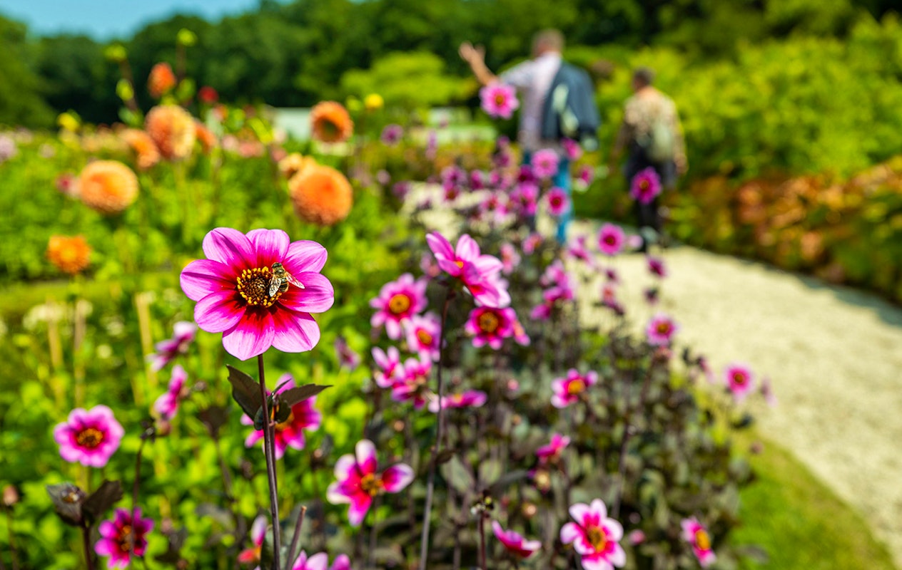 Entreeticket Kasteeltuinen Arcen