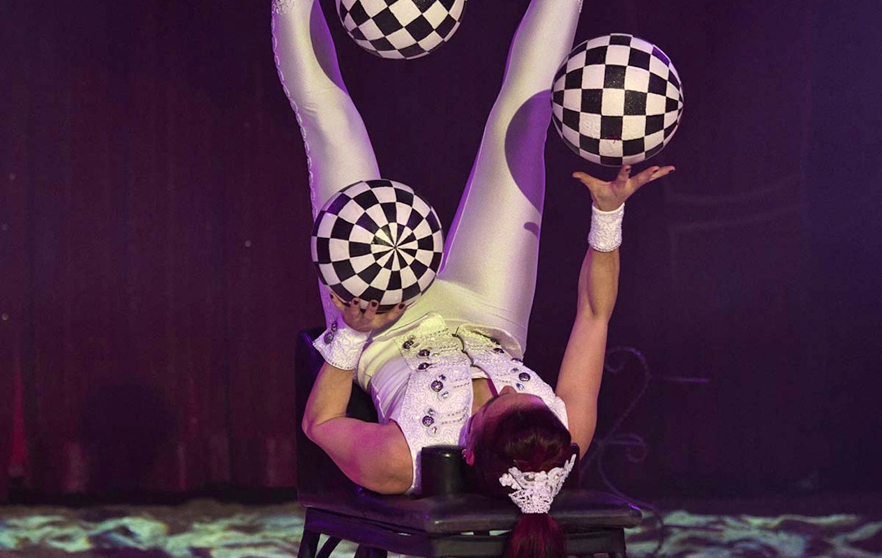 Entreeticket Kerstcircus Enschede