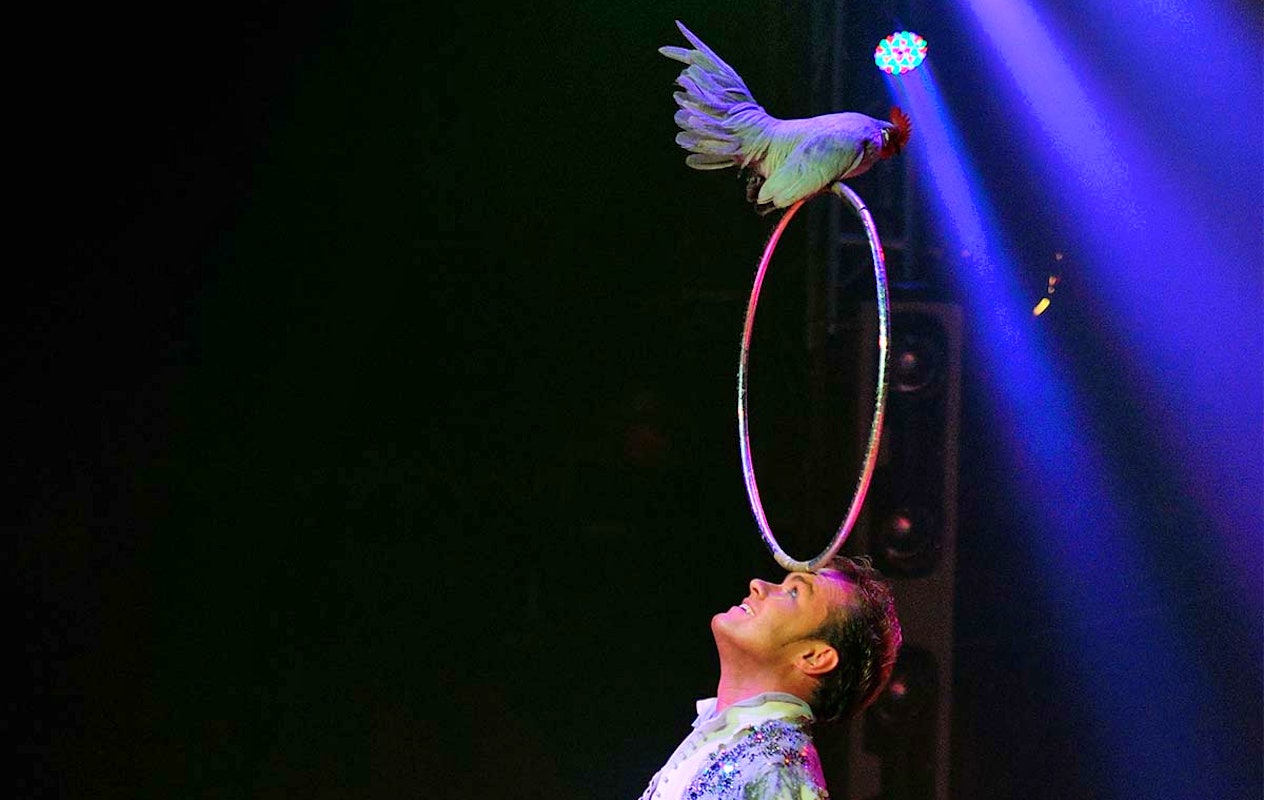 Entreeticket Kerstcircus Enschede