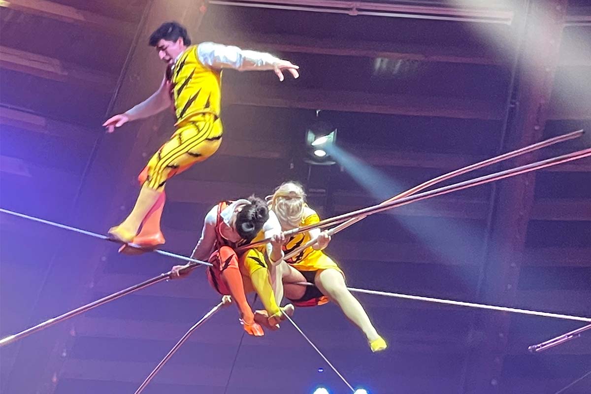 Entreeticket Kerstcircus Haarlem