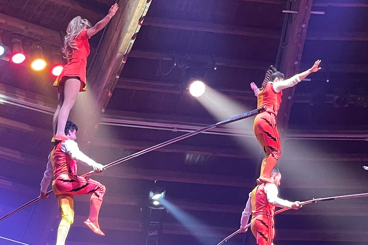 Entreeticket Kerstcircus Haarlem