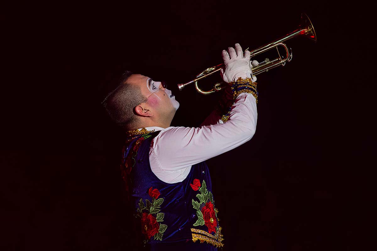 Entreeticket Kerstcircus Oss