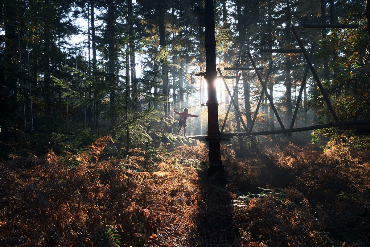 Entreeticket Klimbos Lage Vuursche