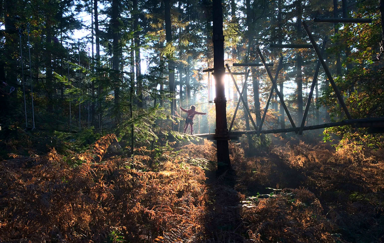 Entreeticket Klimbos Lage Vuursche