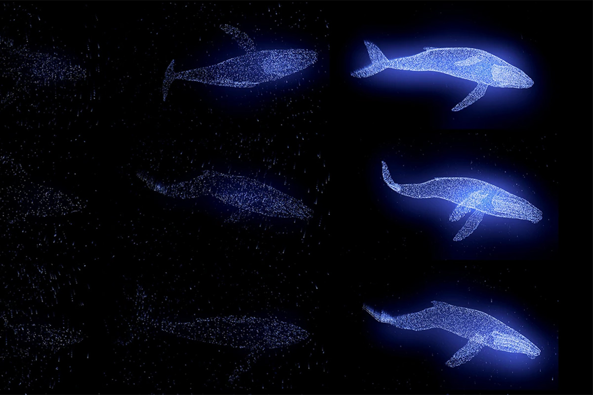 Entreeticket Lichtgolf in Oostende