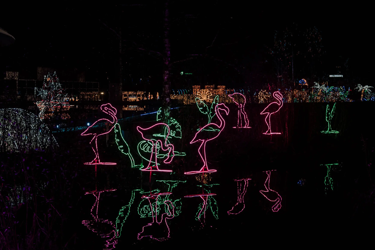 Entreeticket Lumina Park Eindhoven