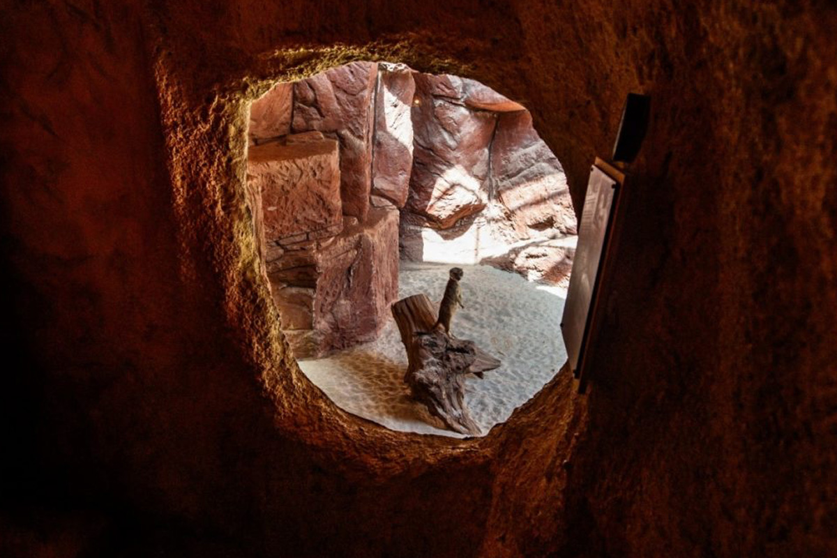 Entreeticket Mappa Mundia in Avonturia