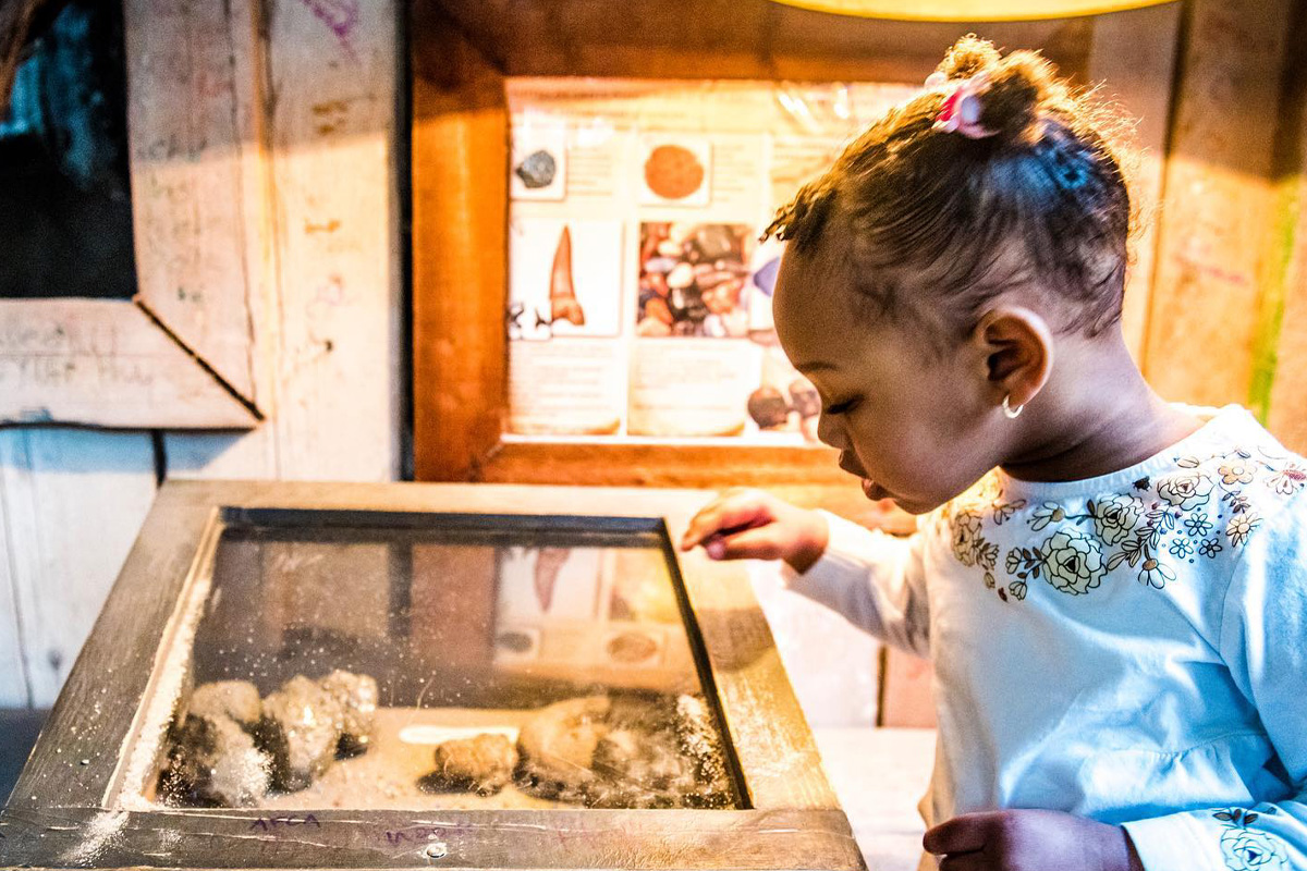 Entreeticket Mappa Mundia in Avonturia