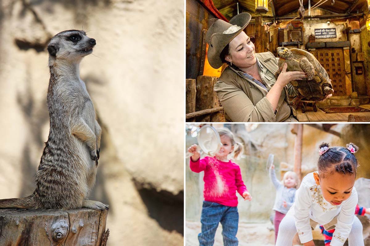 Entreeticket Mappa Mundia in Avonturia