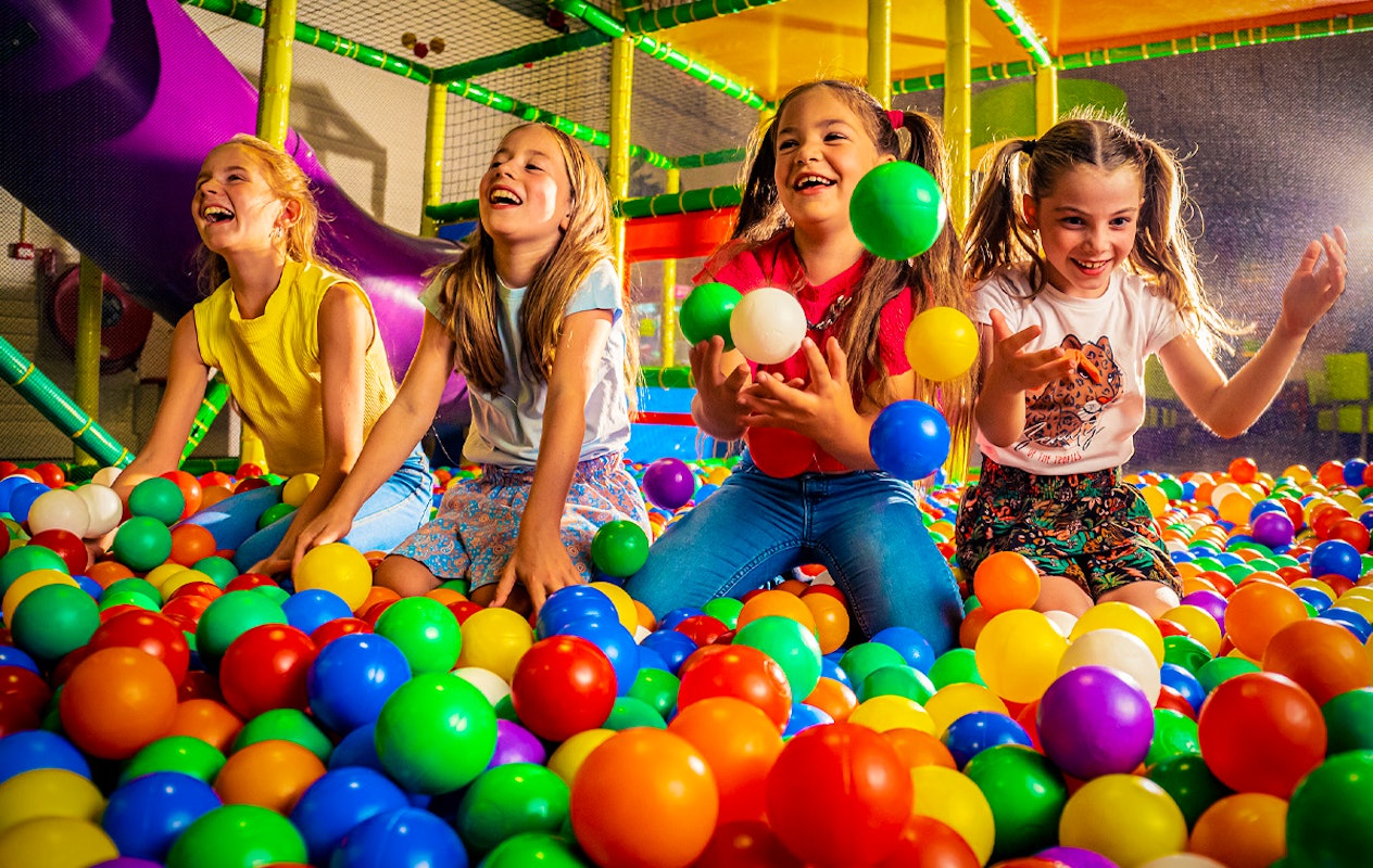 Entreeticket Monkey Town Wolvega