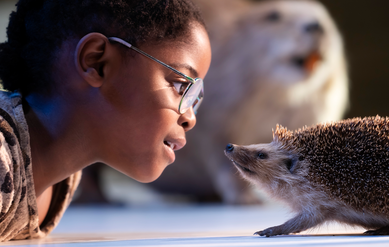 Entreeticket Museum De Bastei