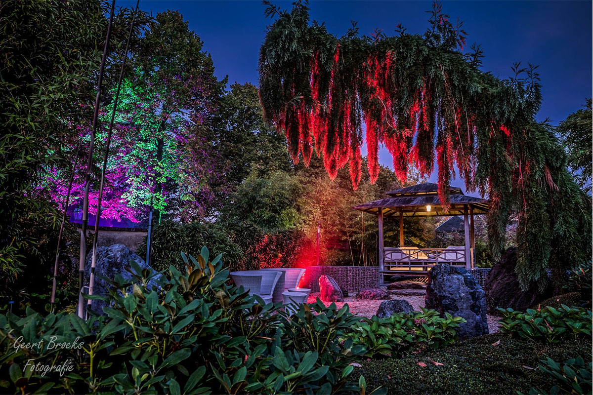 Toegangsticket Mystery Gardens in Bloemenpark Appeltern