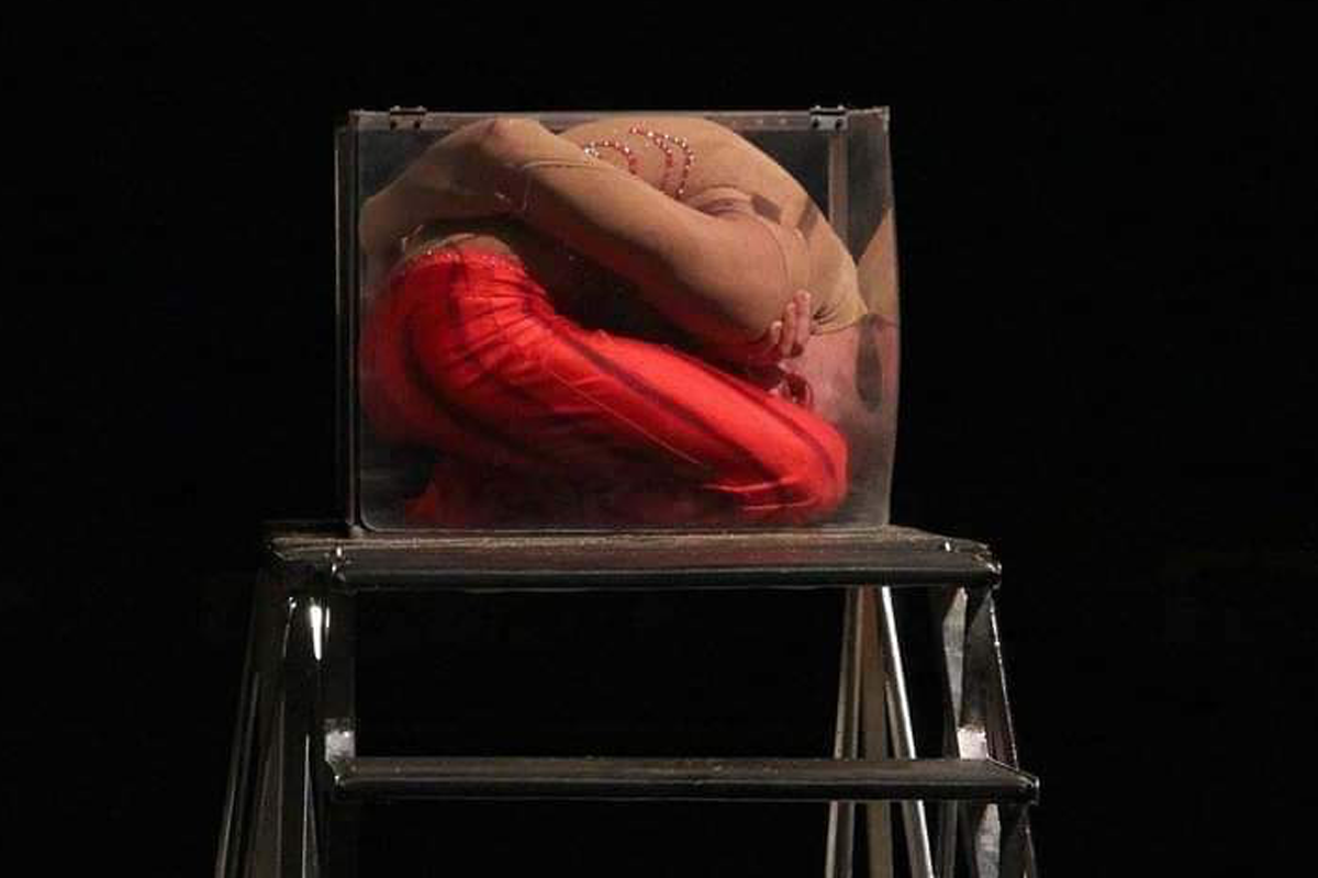 Entreeticket Nationaal Circus Barani