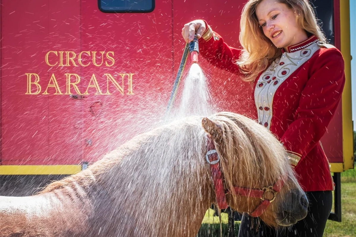 Entreeticket Nationaal Circus Barani