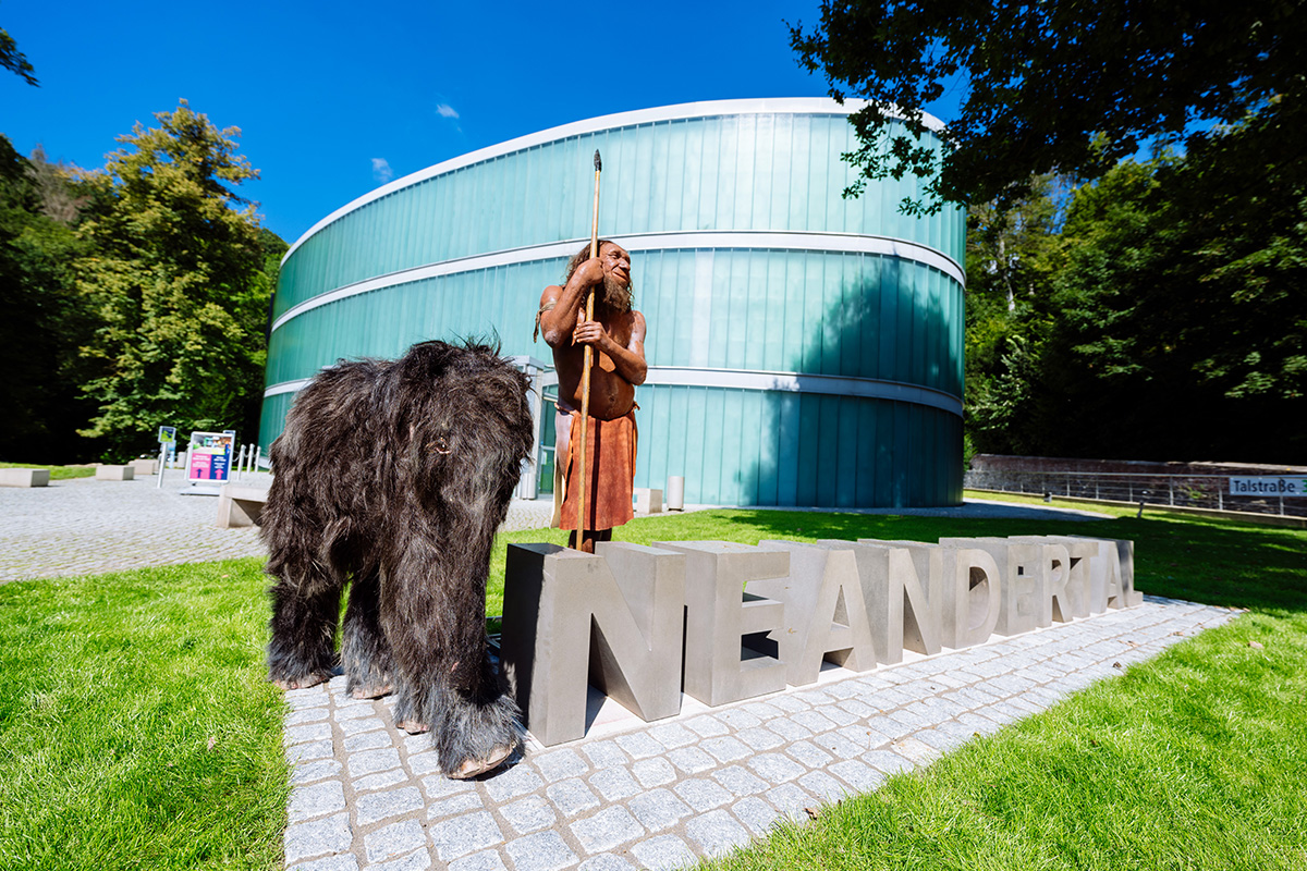 Entreeticket Neanderthal Museum