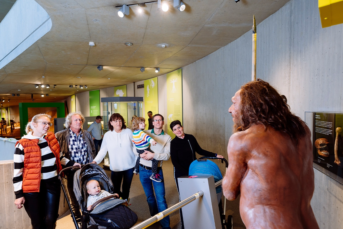 Entreeticket Neanderthal Museum
