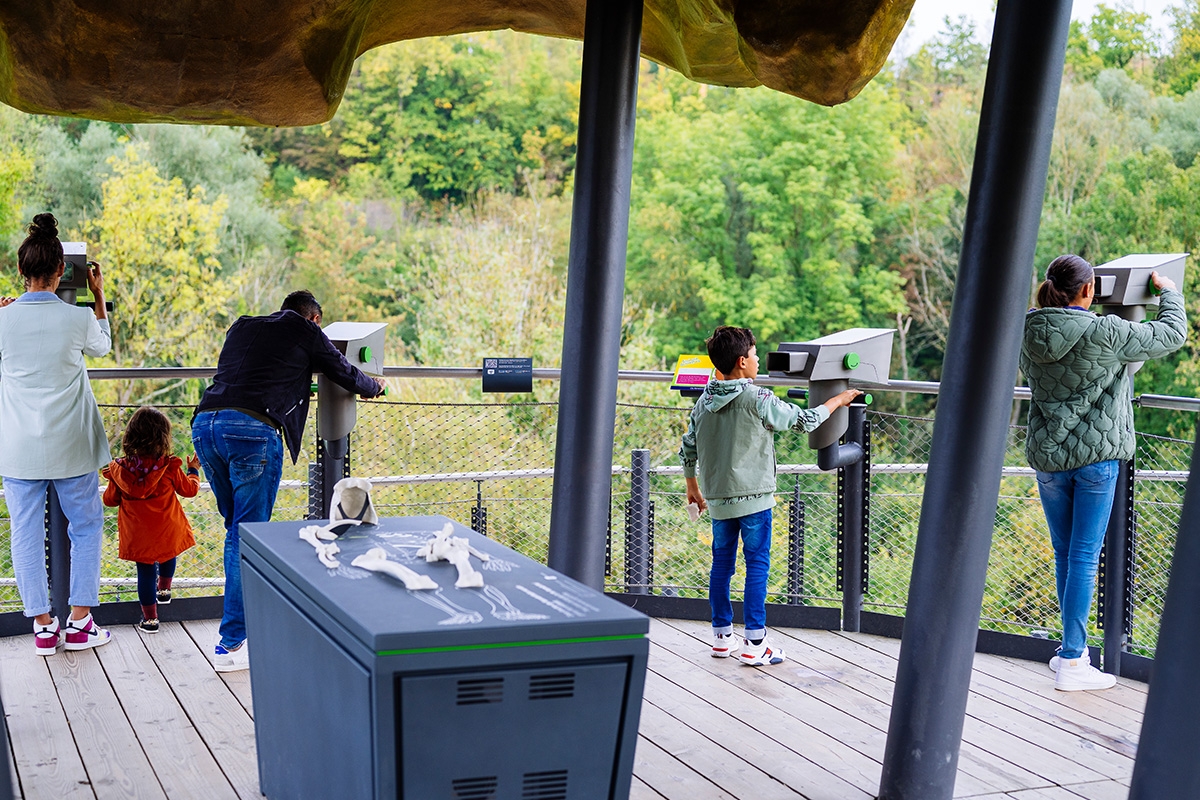 Entreeticket Neanderthal Museum