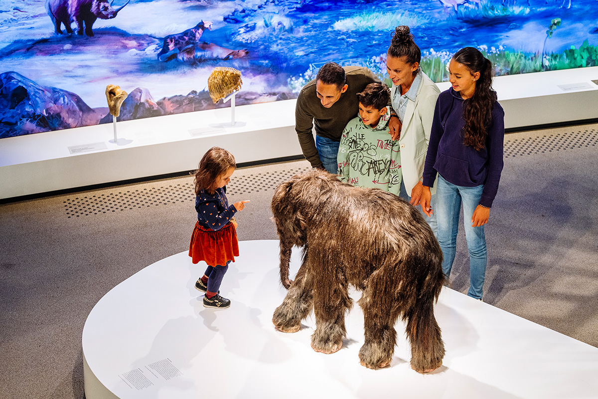 Entreeticket Neanderthal Museum