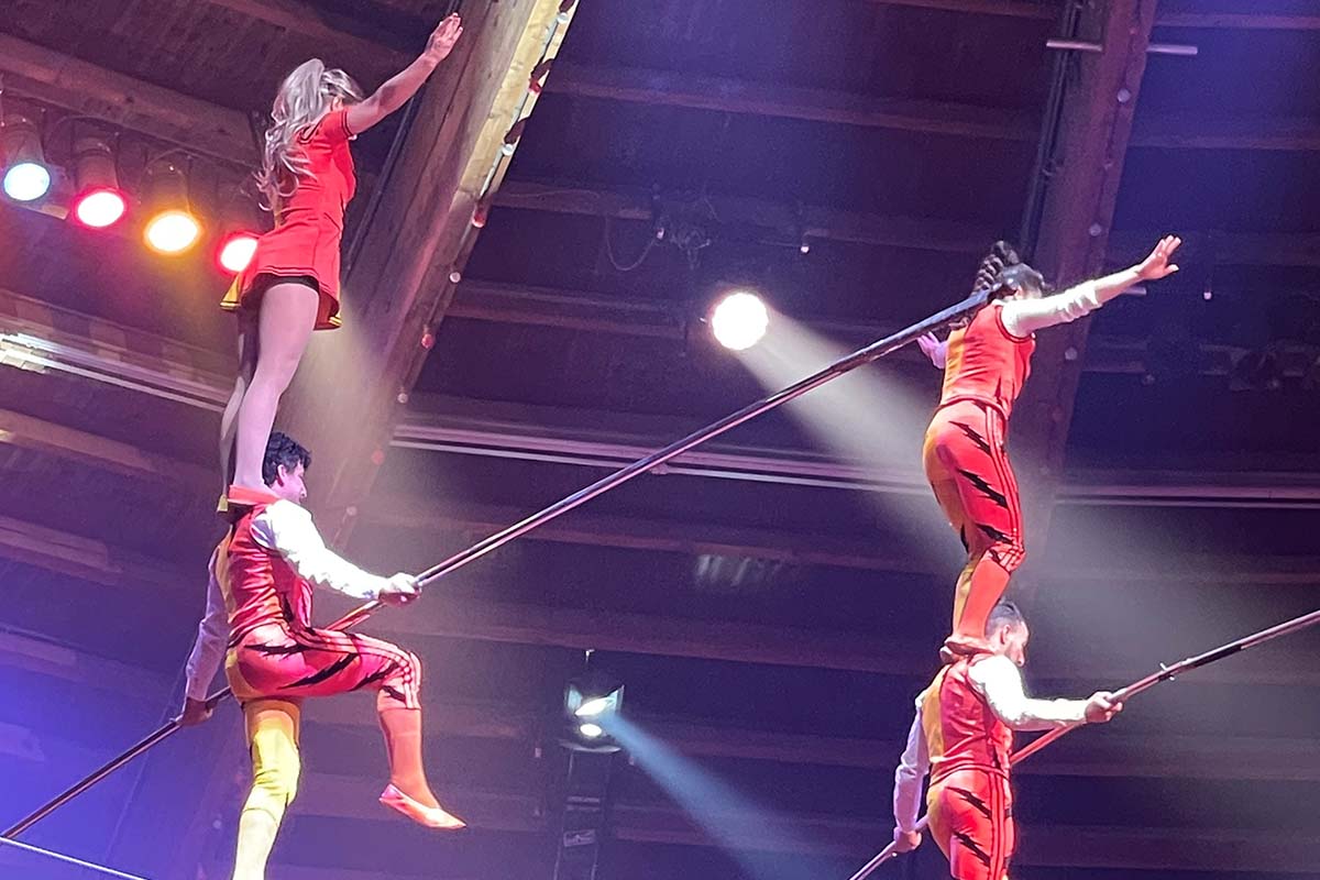 Entreeticket Noord-Hollands Wintercircus