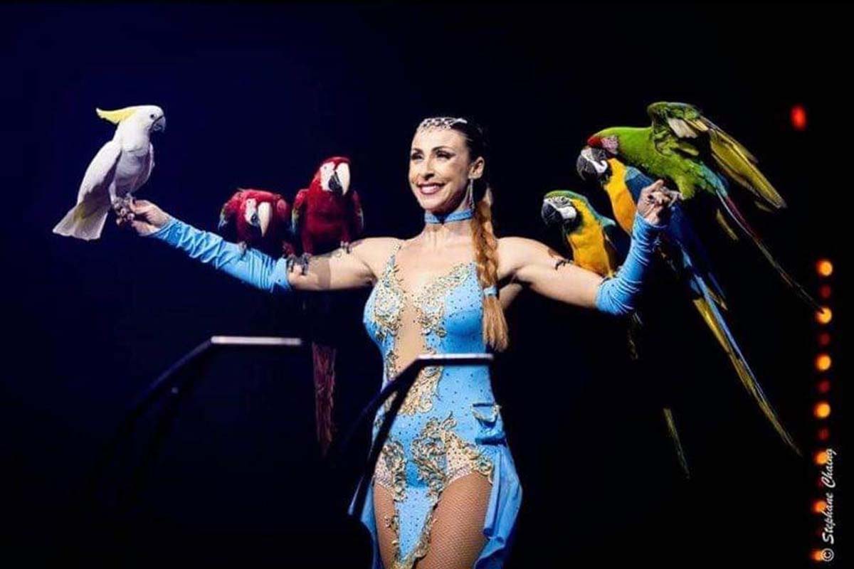 Entreeticket Noord-Hollands Wintercircus