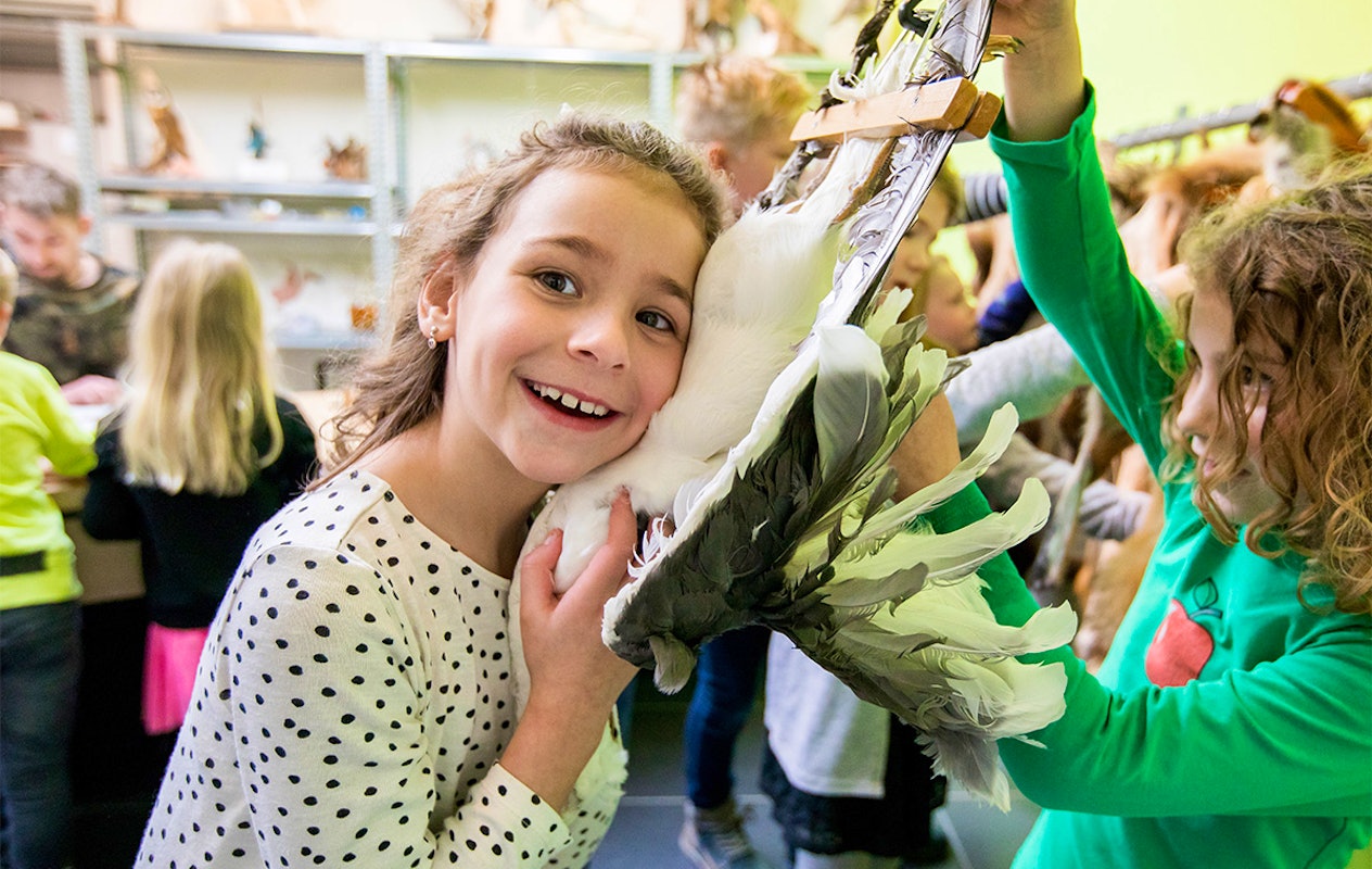 Entreeticket incl. OnderWaterSafari bij Natuurmuseum Fryslân