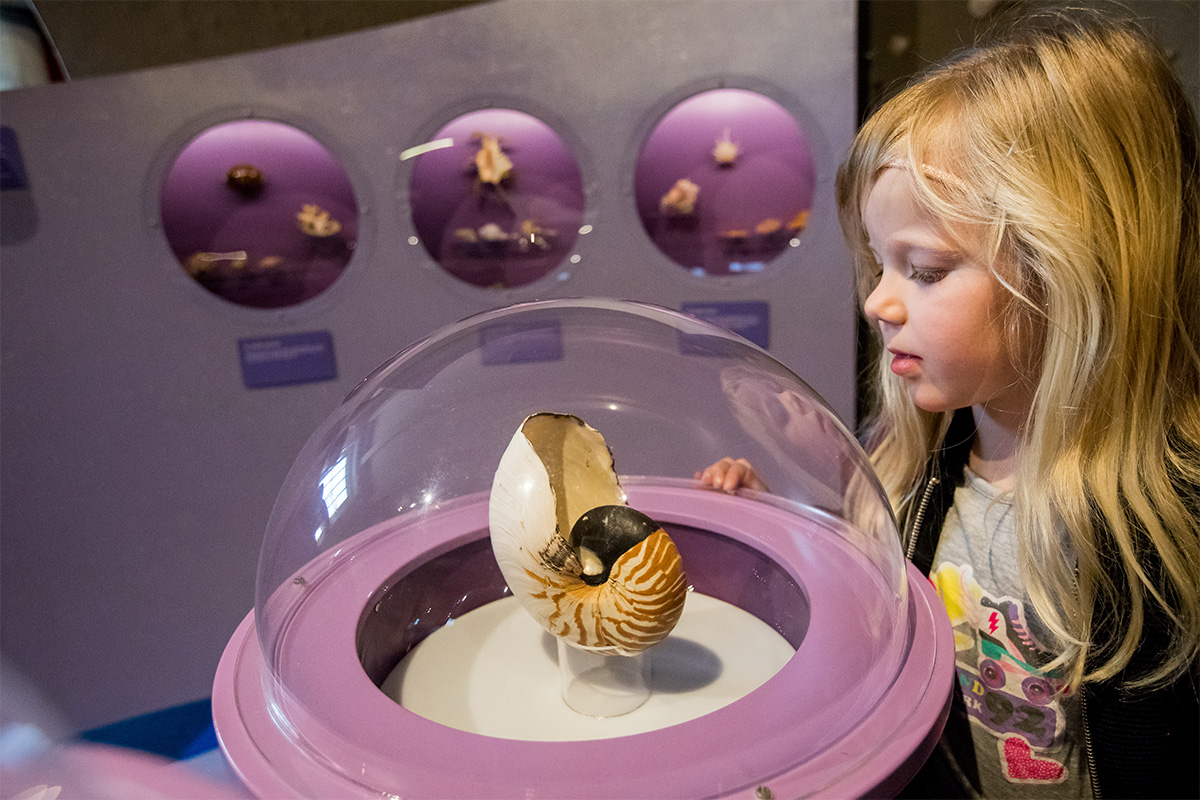 Entreeticket incl. OnderWaterSafari bij Natuurmuseum Fryslân