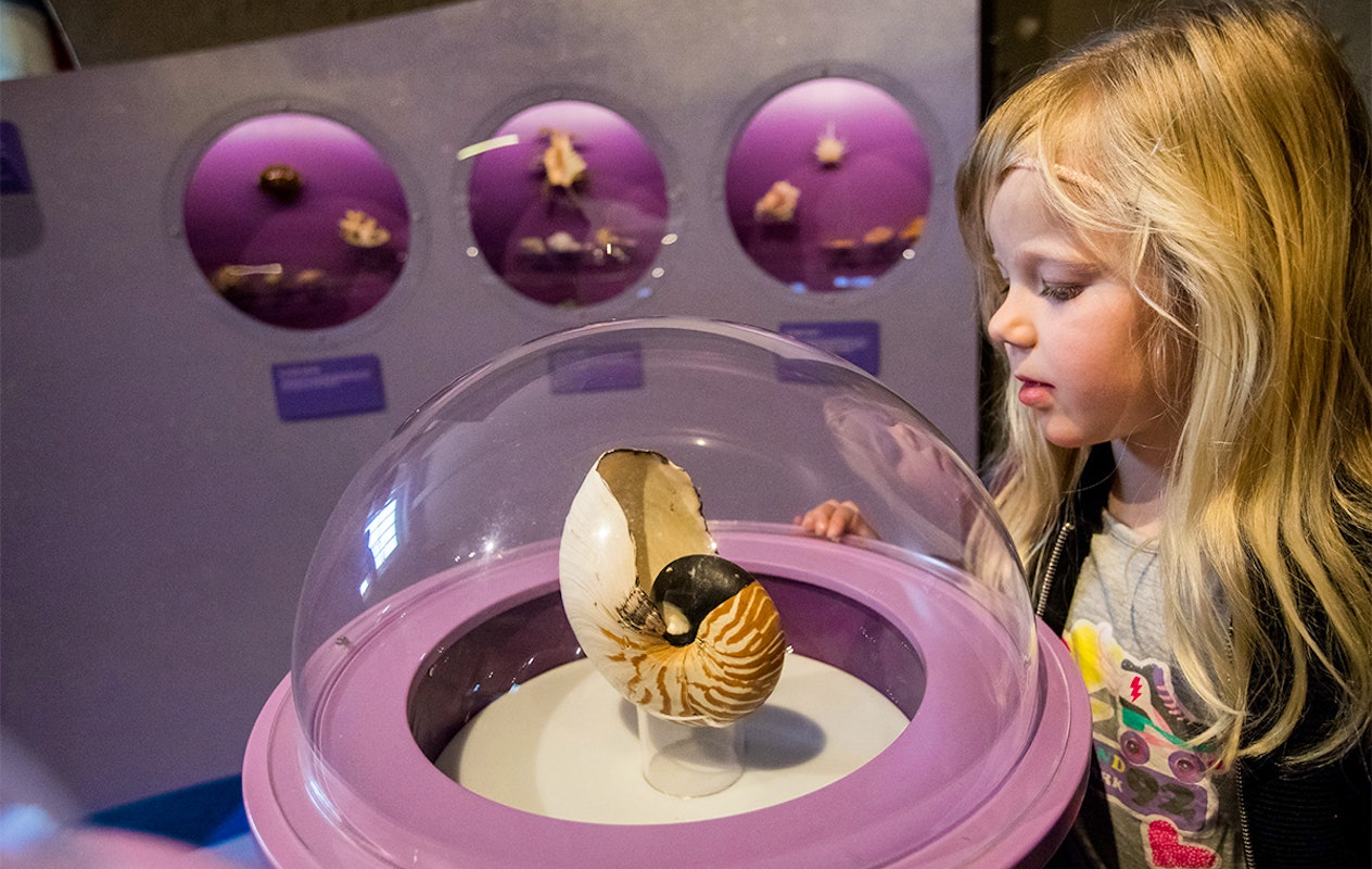 Entreeticket incl. OnderWaterSafari bij Natuurmuseum Fryslân