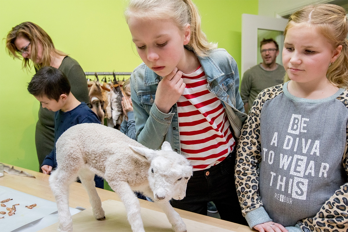 Entreeticket incl. OnderWaterSafari bij Natuurmuseum Fryslân