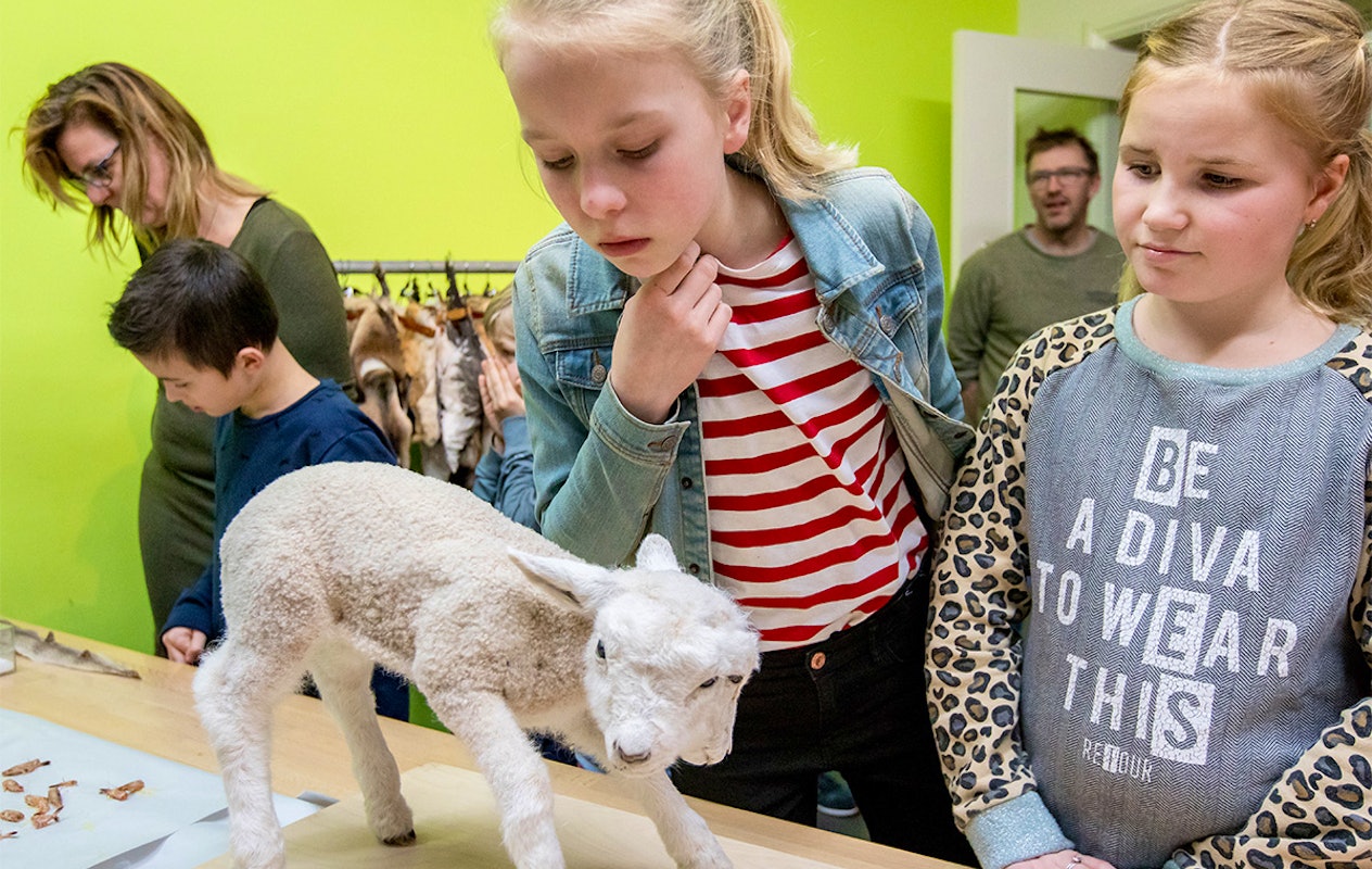 Entreeticket incl. OnderWaterSafari bij Natuurmuseum Fryslân