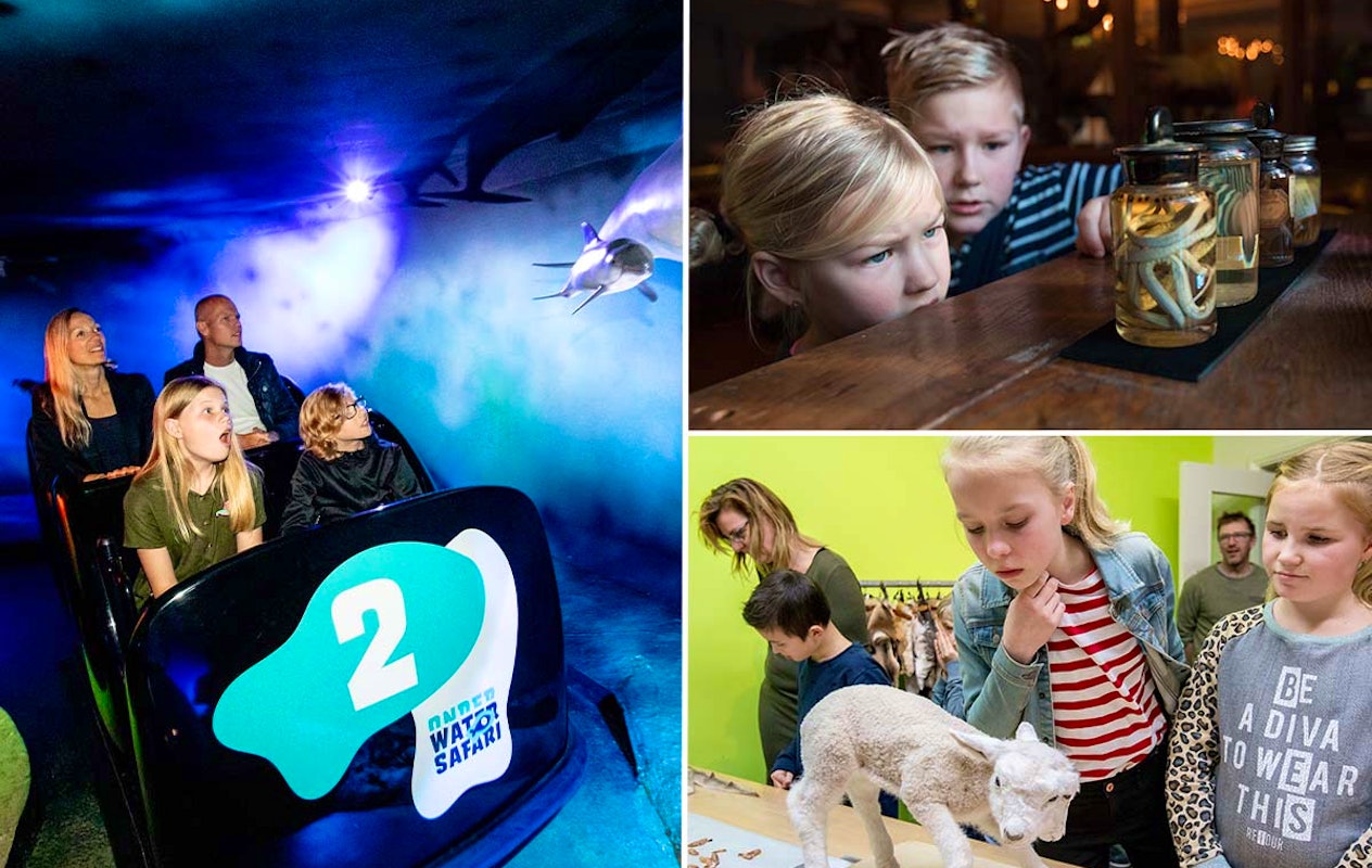 Entreeticket incl. OnderWaterSafari bij Natuurmuseum Fryslân