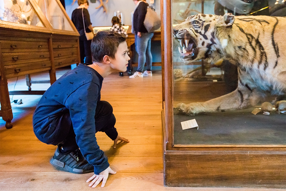 Entreeticket incl. OnderWaterSafari bij Natuurmuseum Fryslân