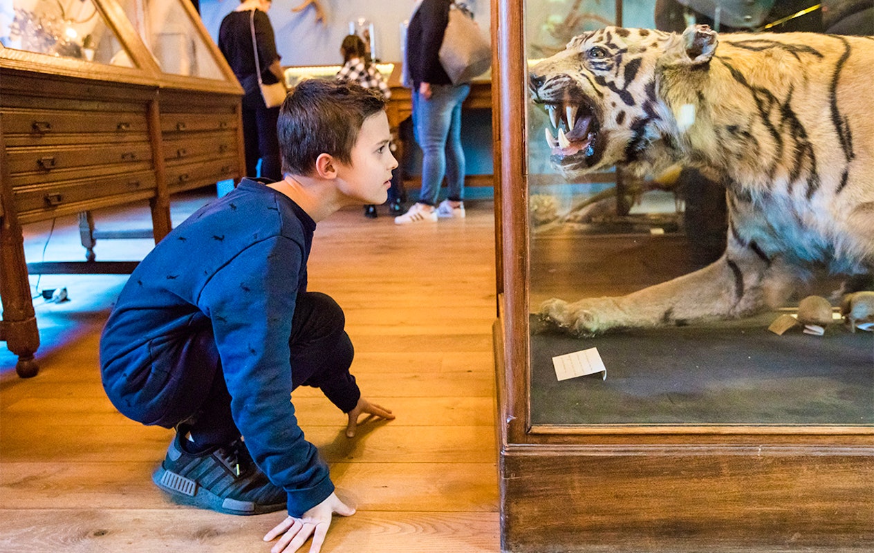 Entreeticket incl. OnderWaterSafari bij Natuurmuseum Fryslân