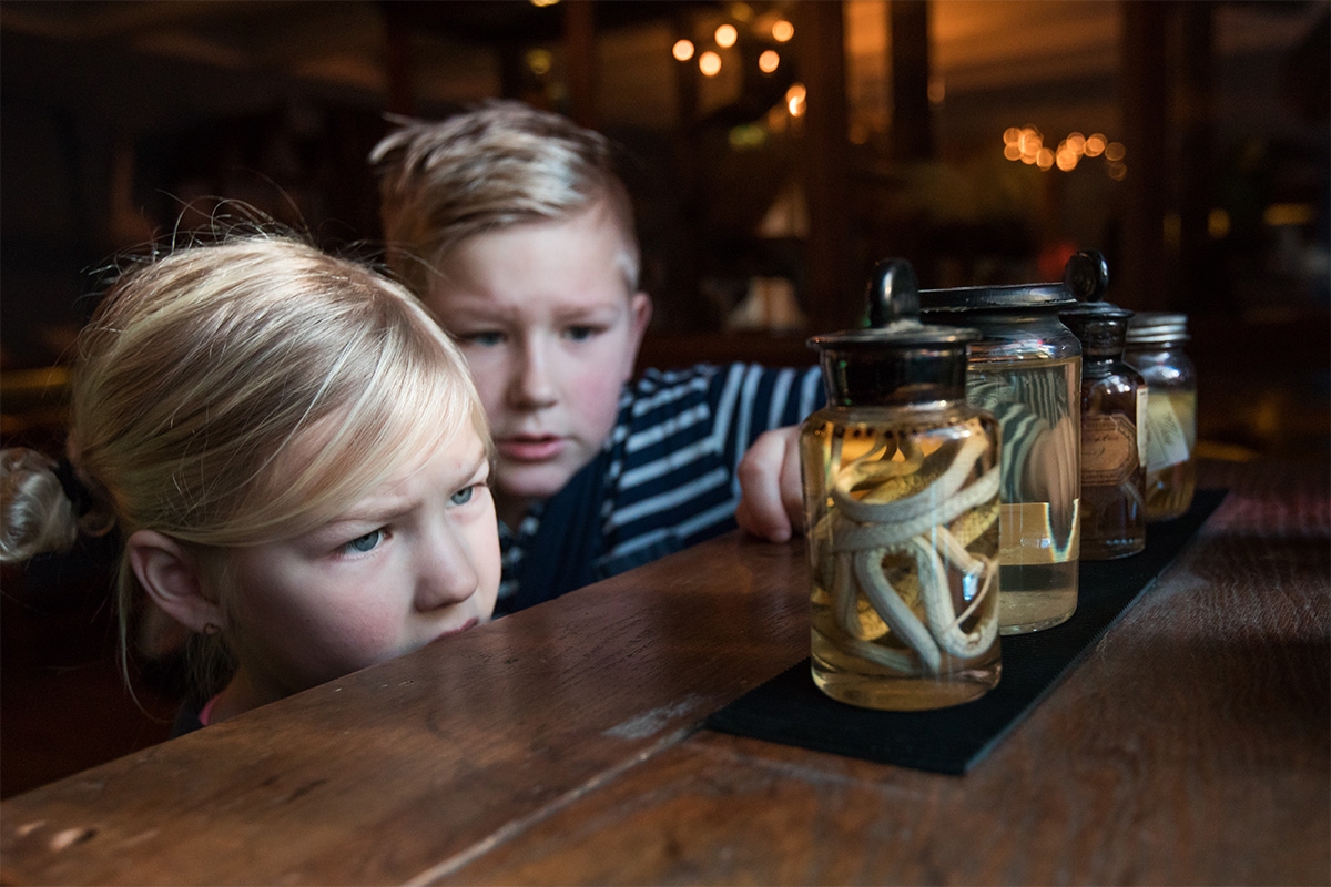 Entreeticket incl. OnderWaterSafari bij Natuurmuseum Fryslân