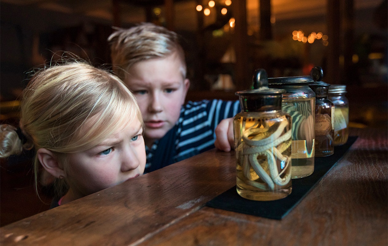 Entreeticket incl. OnderWaterSafari bij Natuurmuseum Fryslân