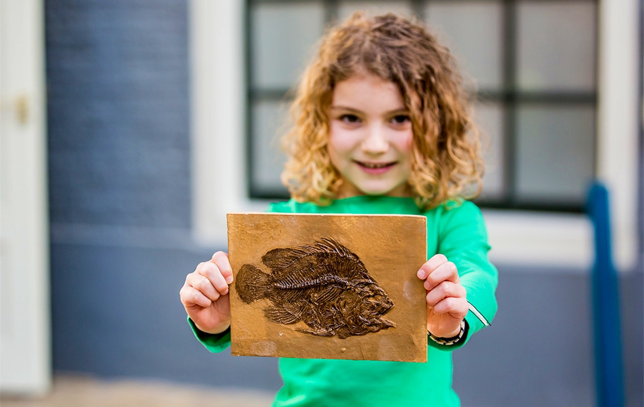 Entreeticket incl. OnderWaterSafari bij Natuurmuseum Fryslân