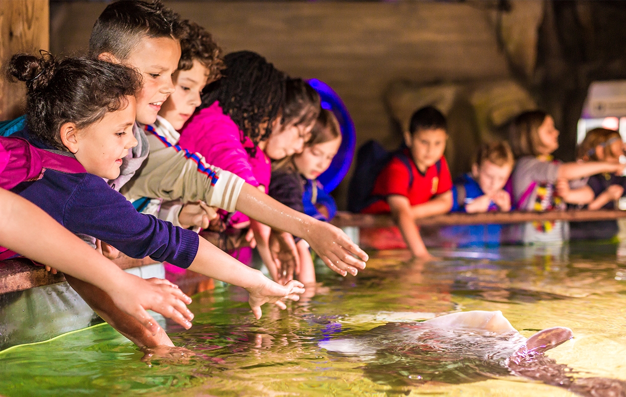 Entreeticket voor Piratenpark & Zeeaquarium Het Arsenaal