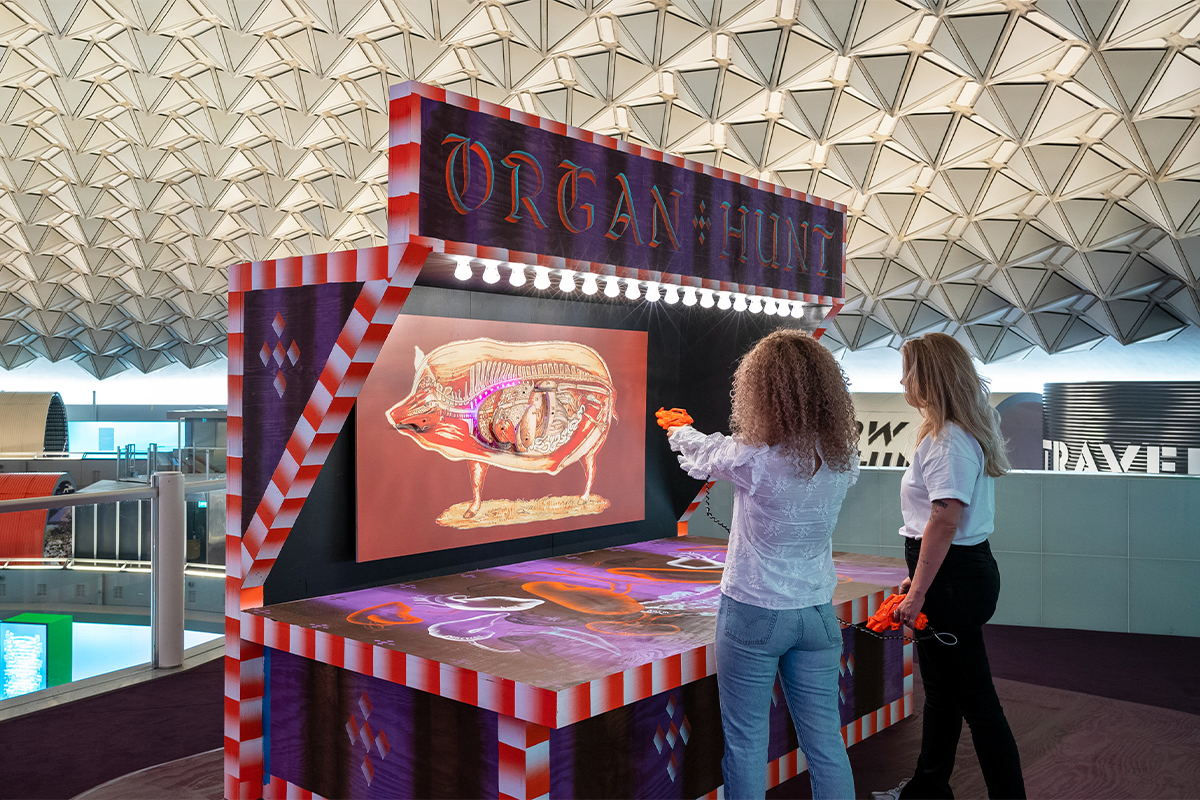 Entreeticket Next Nature Museum in Eindhoven