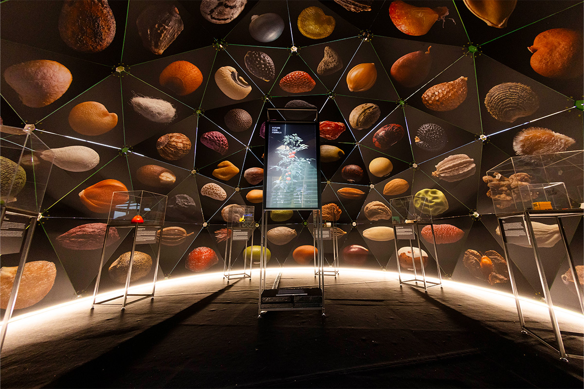 Entreeticket Next Nature Museum in Eindhoven