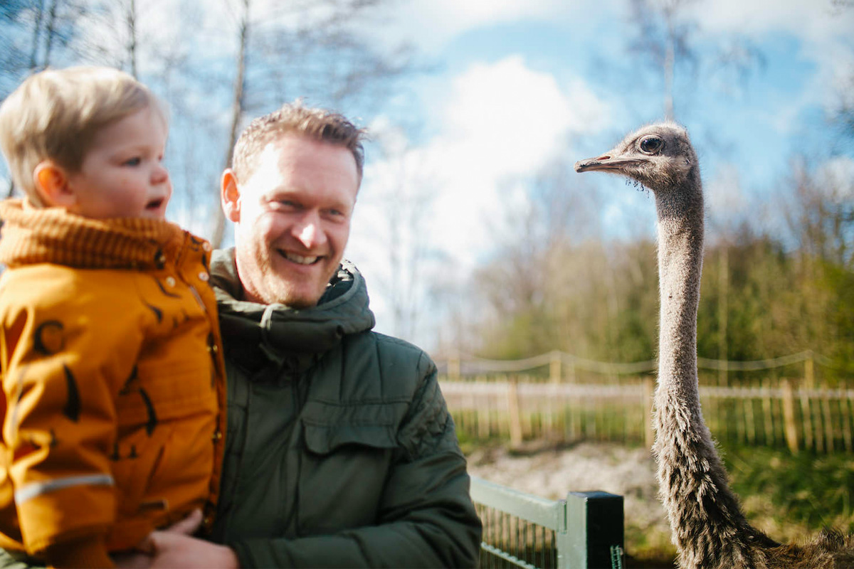 Entreeticket Sanjes Safari