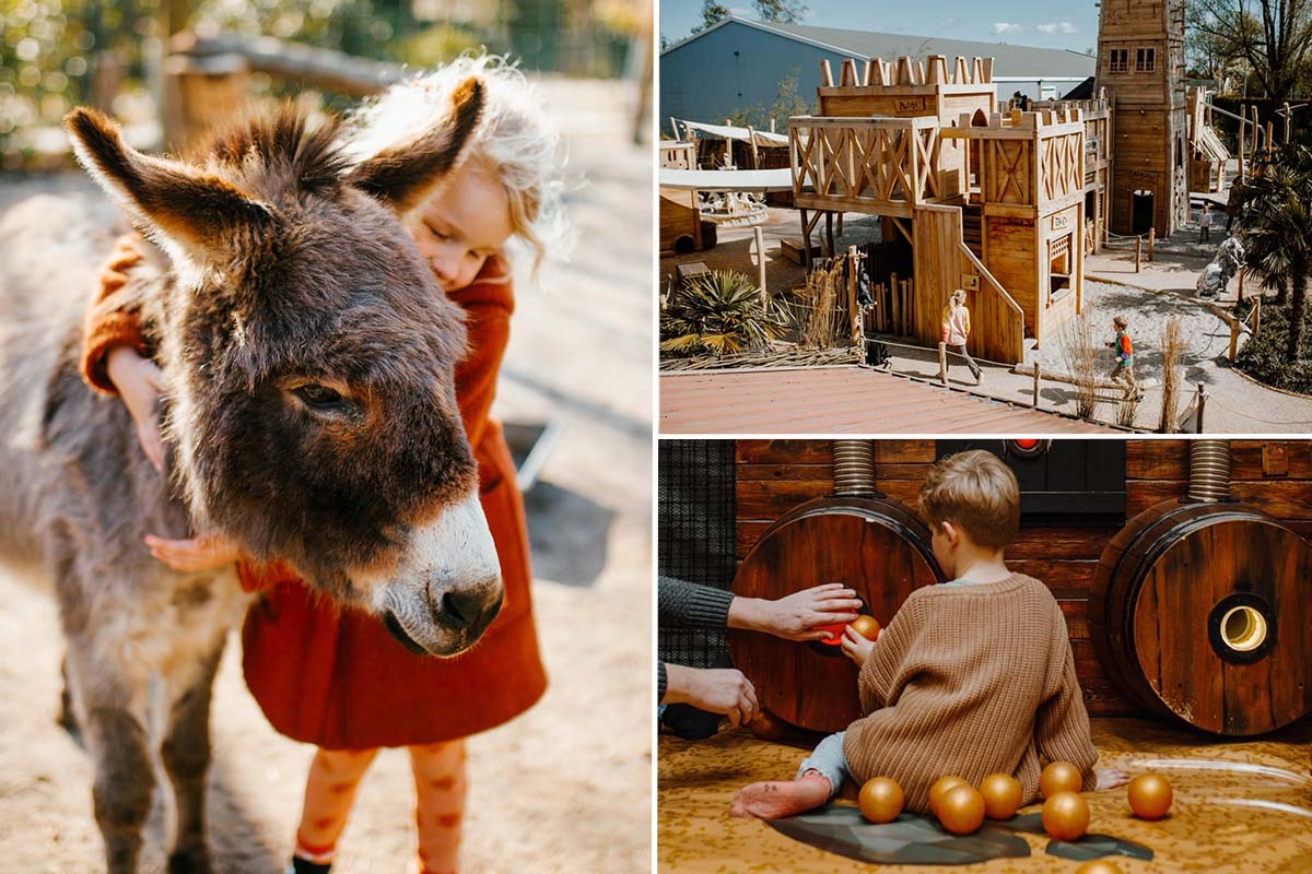 Entreeticket Sanjes Safari