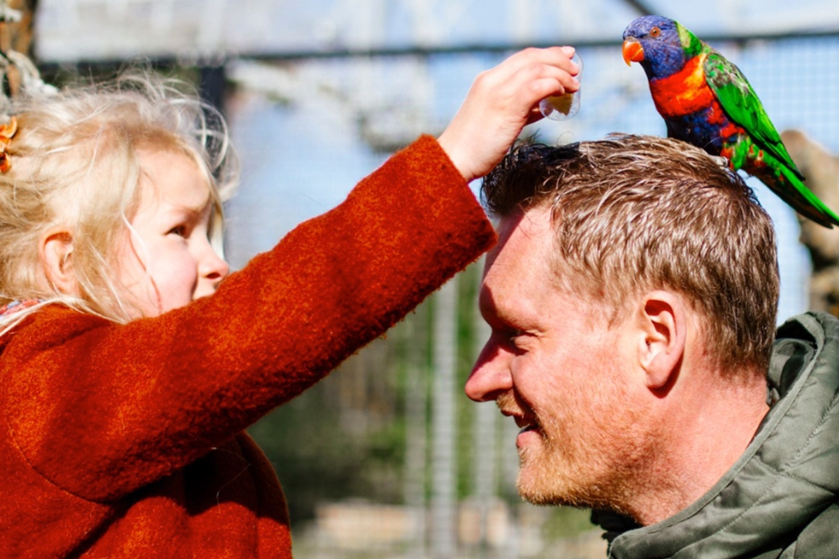 Entreeticket Sanjes Safari