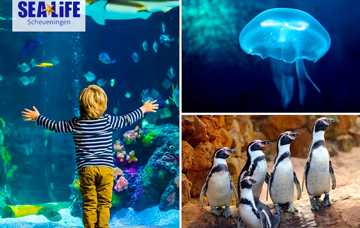 Entreeticket SEA LIFE Scheveningen 