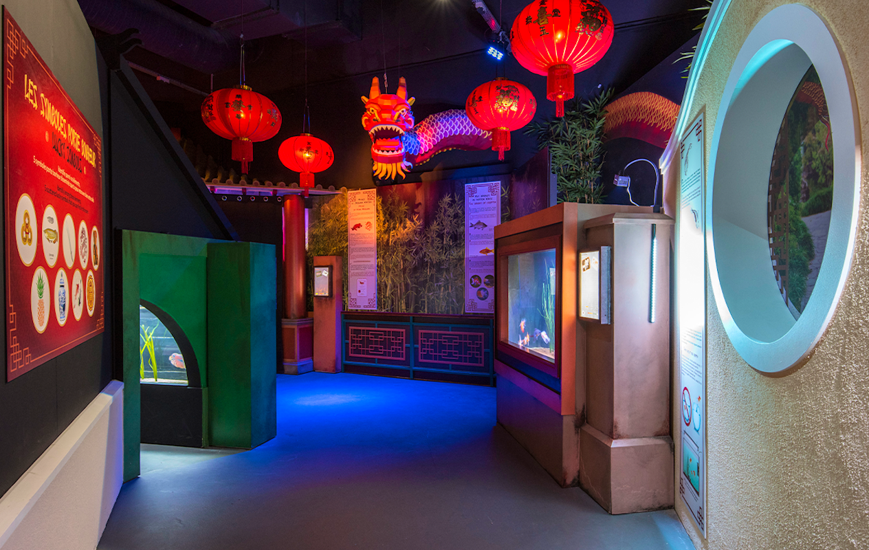 Entreeticket voor SEA LIFE Parijs